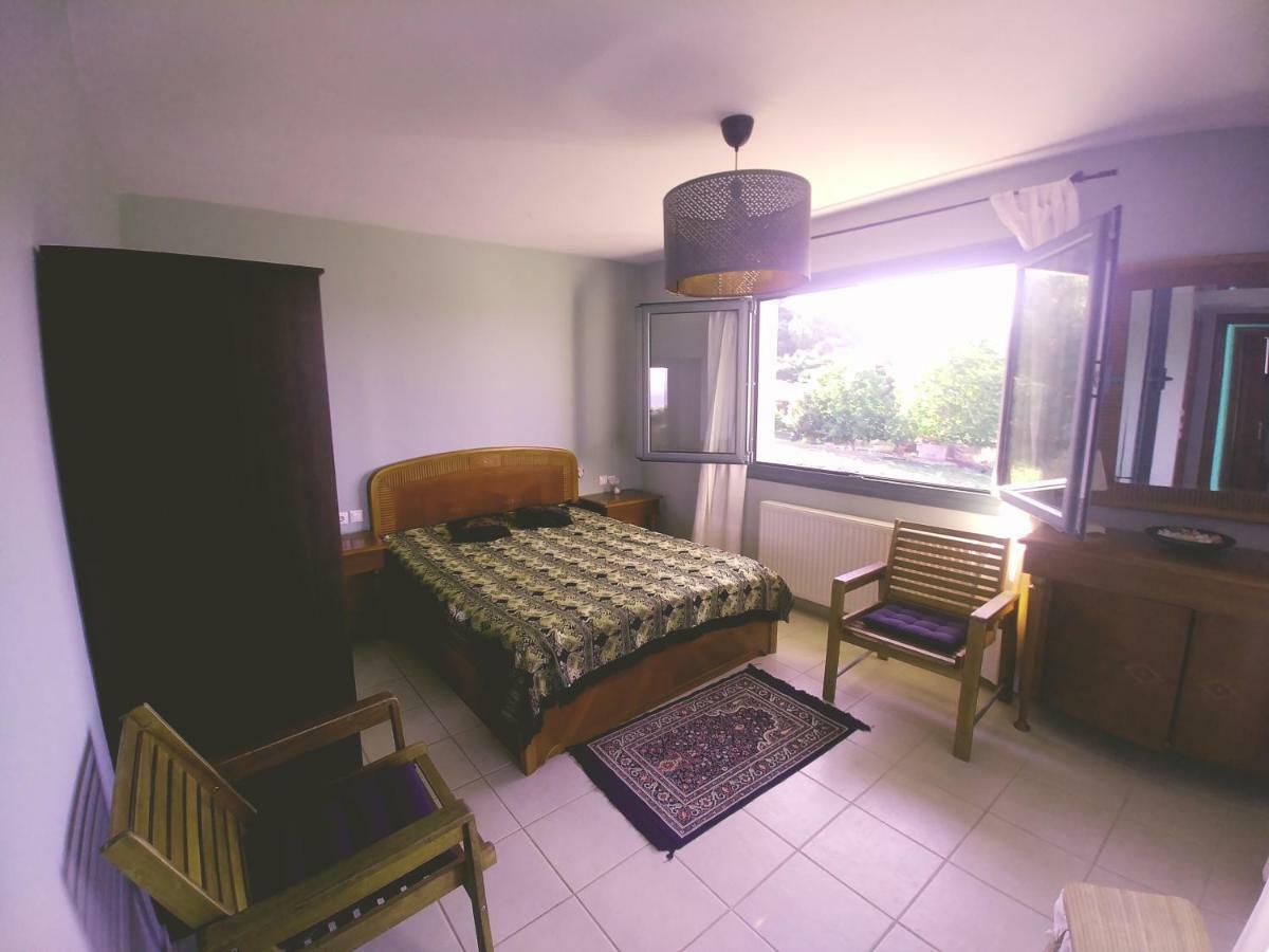 Villa Freebird Vip Bachelor Party & Wedding Events Pefkochori Ngoại thất bức ảnh